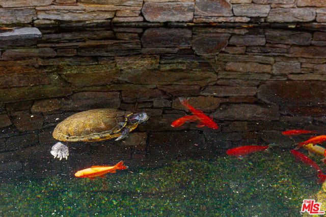 2041 Mandeville Canyon Road, Los Angeles, CA 90049