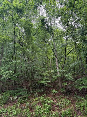 0 Highway 27, Whitwell, TN 37397