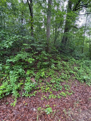 0 Highway 27, Whitwell, TN 37397