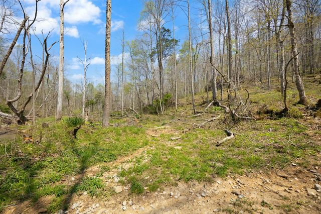 000 Martha Stockton Road, Albany, KY 42602