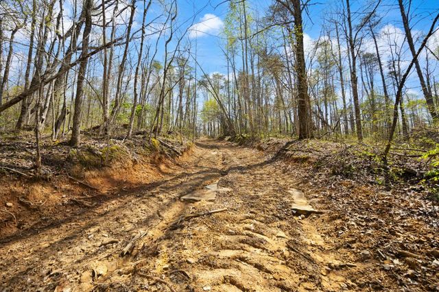 000 Martha Stockton Road, Albany, KY 42602