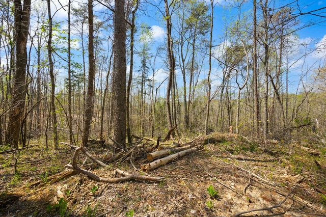 000 Martha Stockton Road, Albany, KY 42602