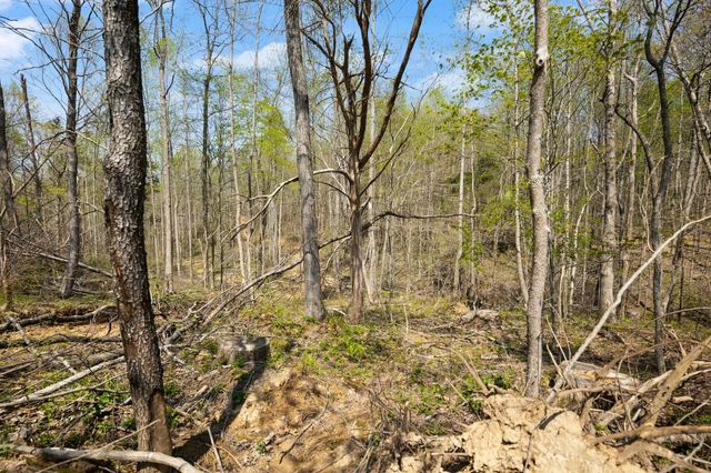 000 Martha Stockton Road, Albany, KY 42602