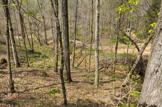 000 Martha Stockton Road, Albany, KY 42602