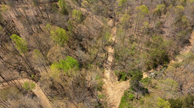 000 Martha Stockton Road, Albany, KY 42602