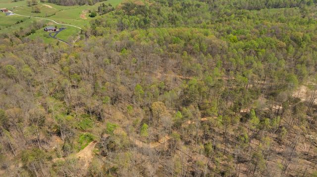 000 Martha Stockton Road, Albany, KY 42602