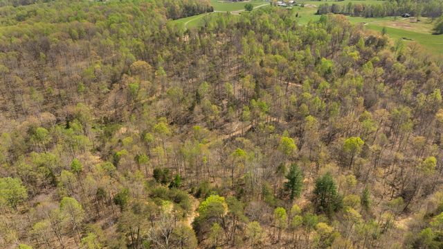 000 Martha Stockton Road, Albany, KY 42602