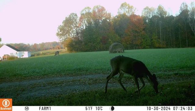 000 Martha Stockton Road, Albany, KY 42602