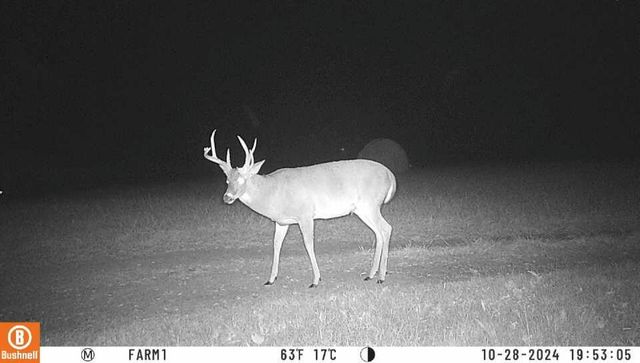 000 Martha Stockton Road, Albany, KY 42602