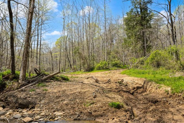 000 Martha Stockton Road, Albany, KY 42602