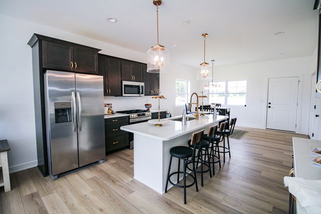 2039 isabella Lane, Minooka, IL 60447