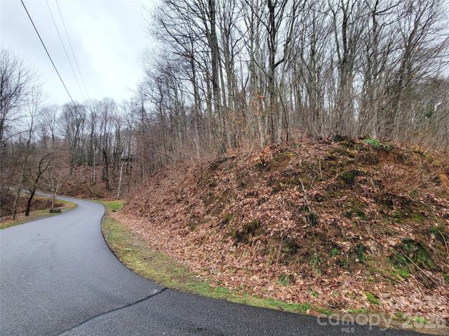 820 Chestnut Flats Lane 4, Waynesville, NC 28786