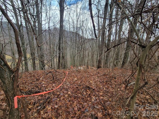 820 Chestnut Flats Lane 4, Waynesville, NC 28786