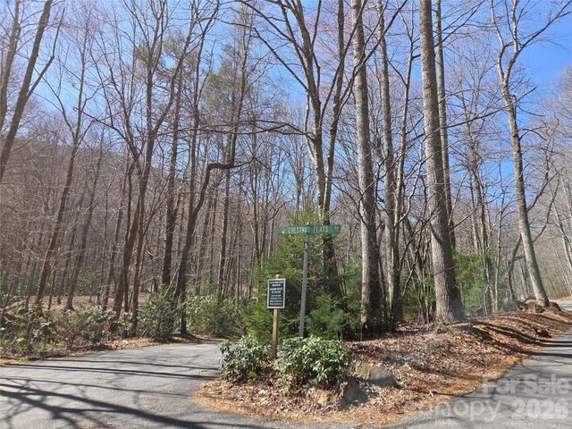 820 Chestnut Flats Lane 4, Waynesville, NC 28786