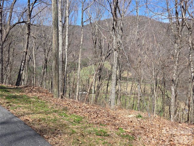 820 Chestnut Flats Lane 4, Waynesville, NC 28786