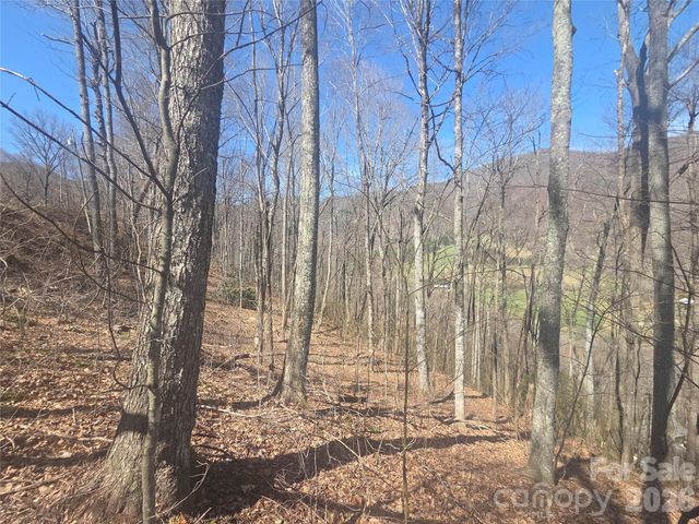 820 Chestnut Flats Lane 4, Waynesville, NC 28786