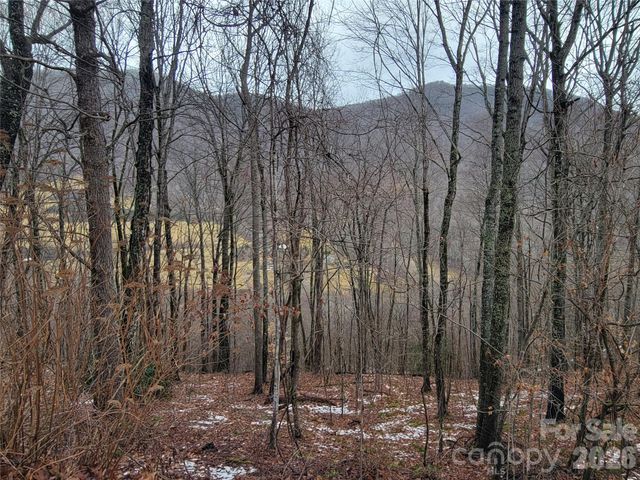 820 Chestnut Flats Lane 4, Waynesville, NC 28786