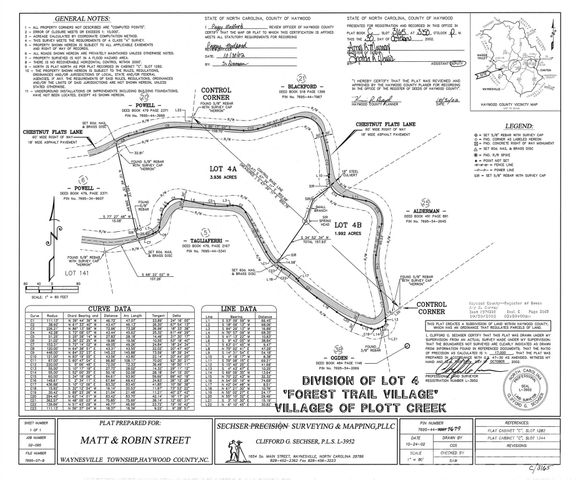 820 Chestnut Flats Lane 4, Waynesville, NC 28786