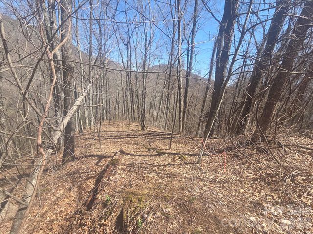 820 Chestnut Flats Lane 4, Waynesville, NC 28786