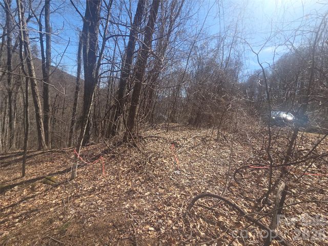 820 Chestnut Flats Lane 4, Waynesville, NC 28786