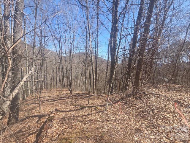 820 Chestnut Flats Lane 4, Waynesville, NC 28786