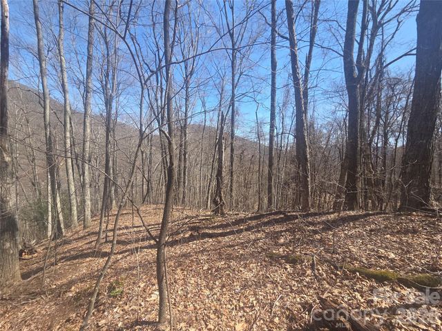 820 Chestnut Flats Lane 4, Waynesville, NC 28786