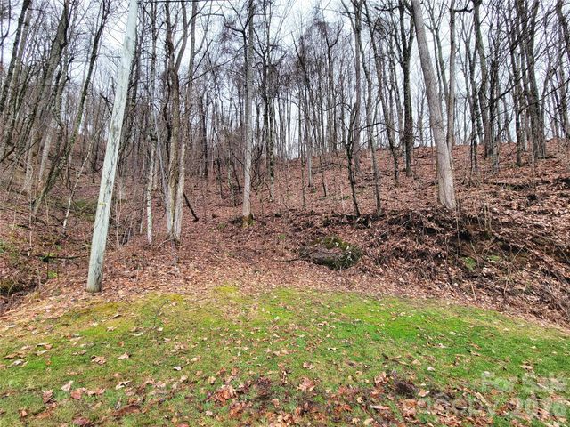 820 Chestnut Flats Lane 4, Waynesville, NC 28786