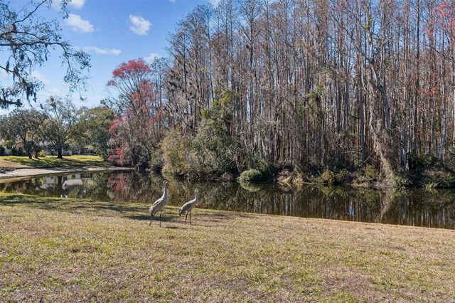 11719 ALDERWOOD DRIVE, New Port Richey, FL 34654