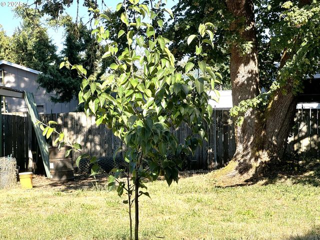 224 Fifth St, Dillard, OR 97432