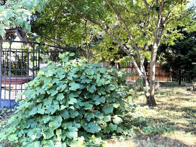 224 Fifth St, Dillard, OR 97432