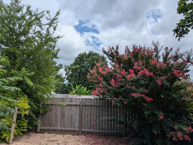 2418 Elkhorn Ranch RD, Leander, TX 78641