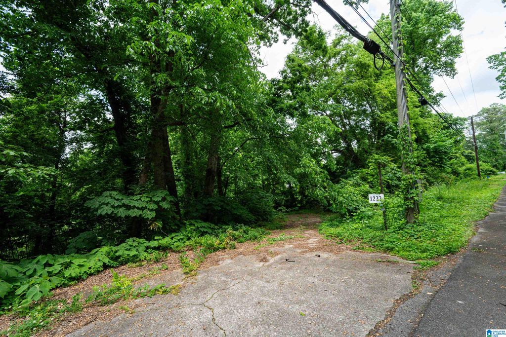 1717 EASTRIDGE DRIVE, Birmingham, AL 35235
