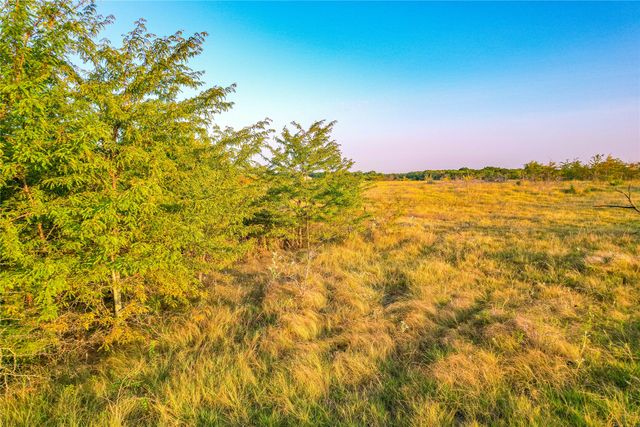 TBD CR 613, Farmersville, TX 75442