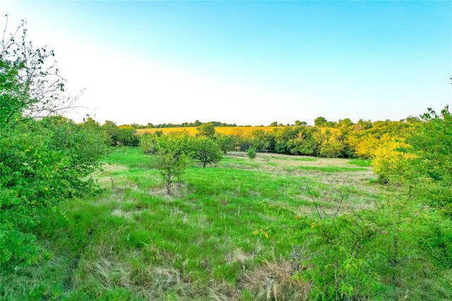 TBD CR 613, Farmersville, TX 75442