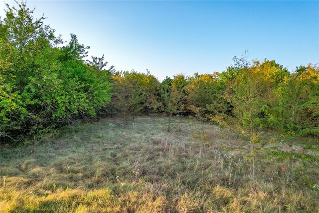 TBD CR 613, Farmersville, TX 75442