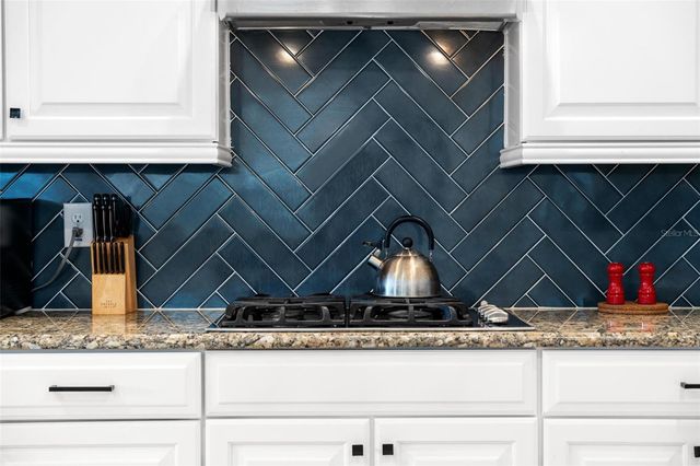 1041 CASTLE PINES COURT, Reunion, FL 34747