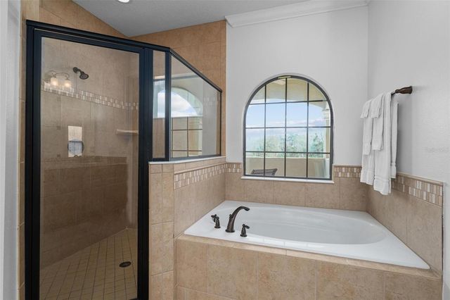 1041 CASTLE PINES COURT, Reunion, FL 34747