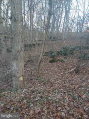 PIN OAK ROAD, Front Royal, VA 22630