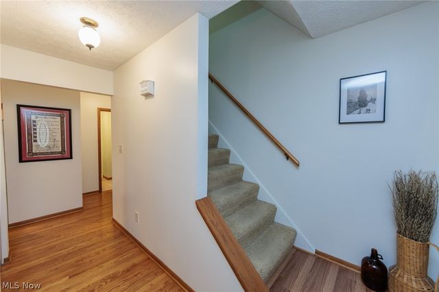 458 Irma Street, Kent, OH 44240