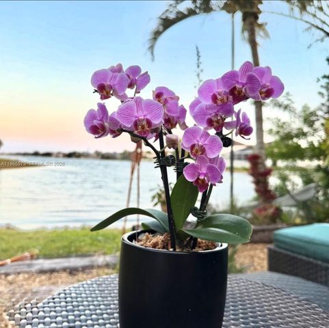 5265 SW 171st Ave, Miramar, FL 33027