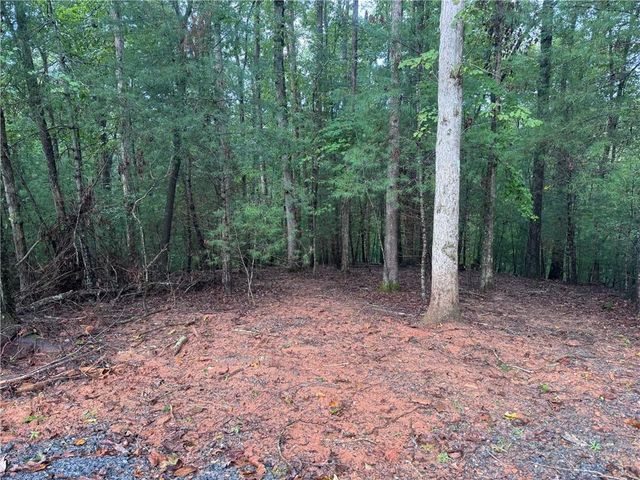 204 Hart Court, Ellijay, GA 30540