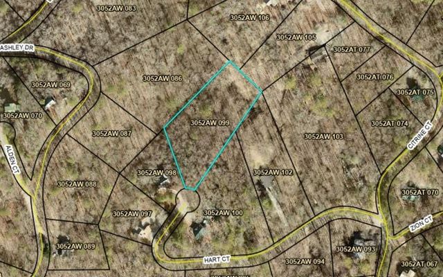 204 Hart Court, Ellijay, GA 30540