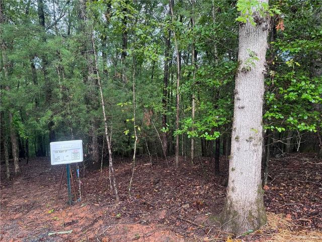 204 Hart Court, Ellijay, GA 30540