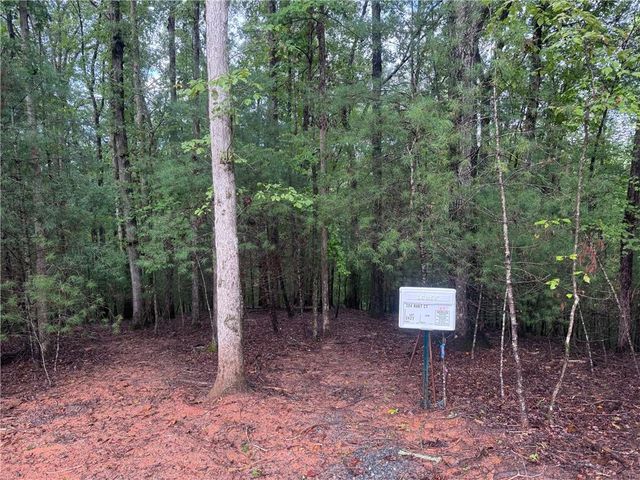 204 Hart Court, Ellijay, GA 30540