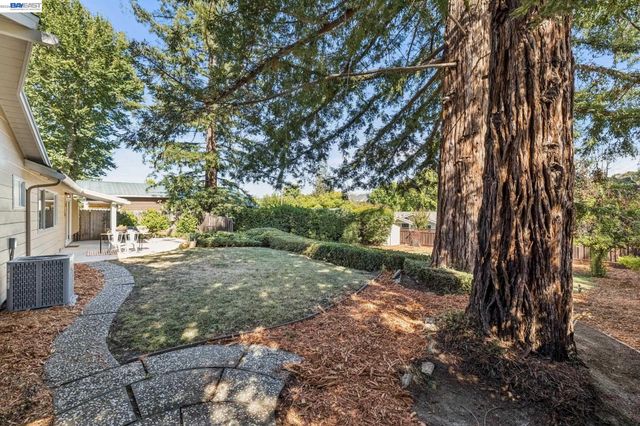 3410 St Marys Rd, Lafayette, CA 94549