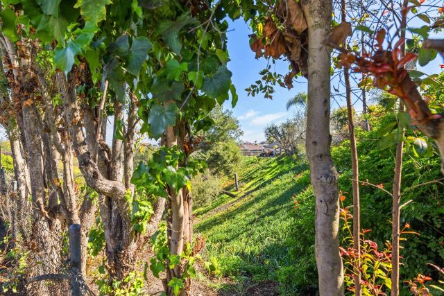 5253 Diane Ave, San Diego, CA 92117