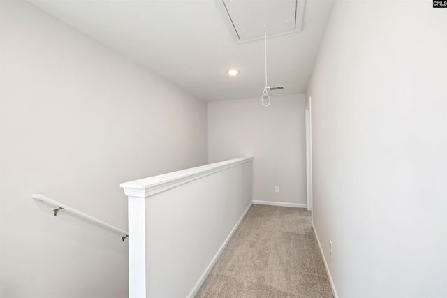 507 Bogarde Terrace, Gilbert, SC 29054
