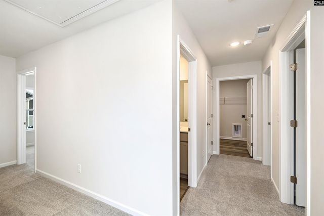507 Bogarde Terrace, Gilbert, SC 29054