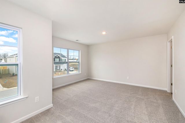 507 Bogarde Terrace, Gilbert, SC 29054