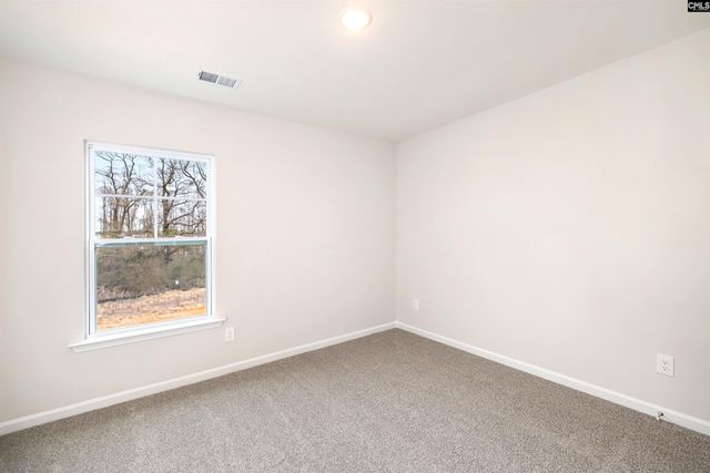 507 Bogarde Terrace, Gilbert, SC 29054